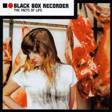 Black Box Recorder -  The Facts of Life